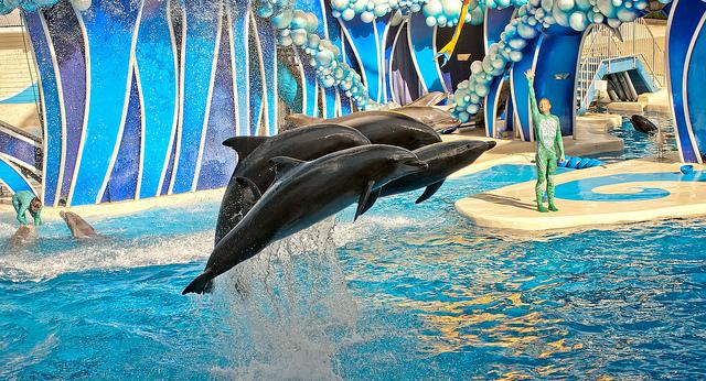seaworld